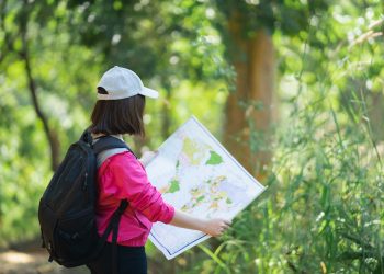 4 Eco-Friendly Ways to Travel and Reduce Your Carbon Footprint