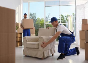 Professional Movers In Dubai