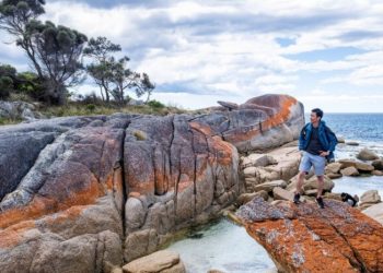 Tasmanian Travel: Guide to the Bay of Fires