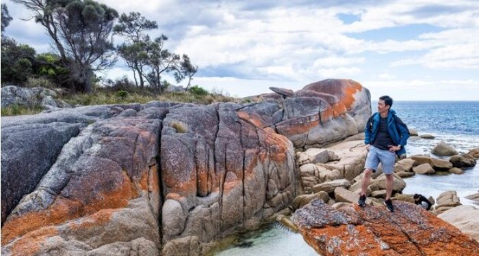 Tasmanian Travel: Guide to the Bay of Fires
