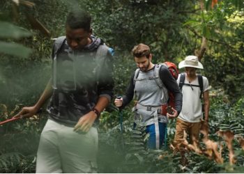 Discover the Best Outdoor Activities in Daegu Today!