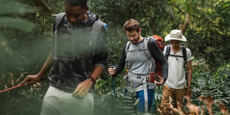 Discover the Best Outdoor Activities in Daegu Today!