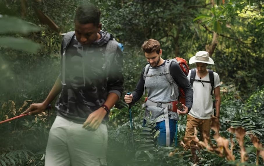 Discover the Best Outdoor Activities in Daegu Today!