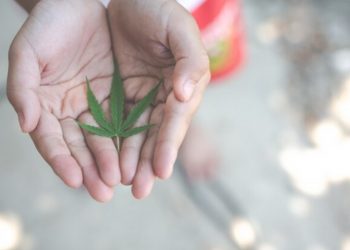 How to Minimise Stress When Moving to or from the CBD