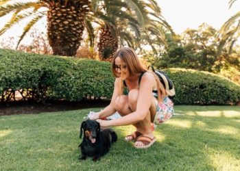 Traveling with Pets: A Guide to Using Biodegradable Dog Poo Bags on the Go