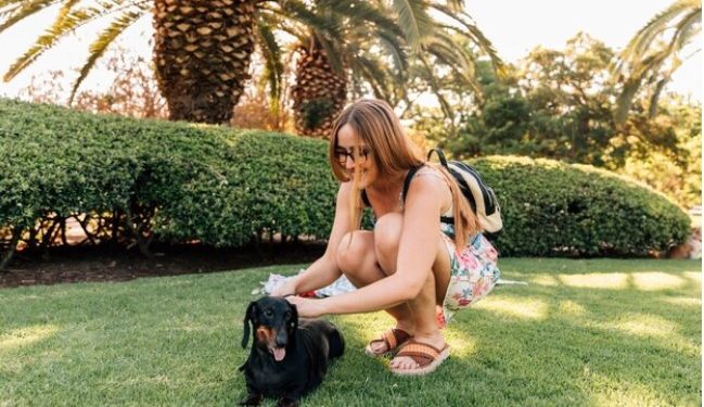 Traveling with Pets: A Guide to Using Biodegradable Dog Poo Bags on the Go