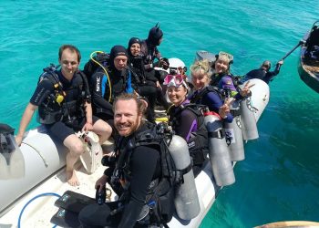 The Best Time to Travel to Egypt for Diving for a Good Holiday