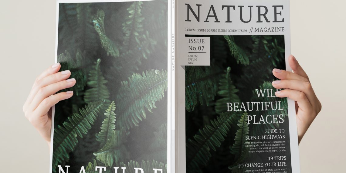 See File Magazine’s Content: A Treasure Trove for Creative Minds