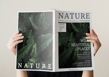 See File Magazine’s Content: A Treasure Trove for Creative Minds