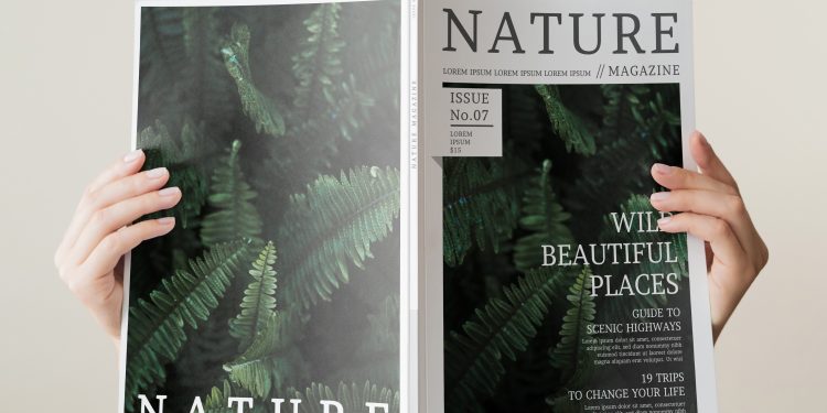 See File Magazine’s Content: A Treasure Trove for Creative Minds