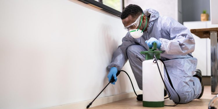 Do You Have an Unwanted Company at Your Greenville Home?