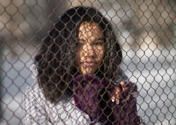 Easy To Install Chain Link Fences For Securing Your Yard