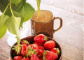 Cameron Highlands: Tea Plantations, Strawberries and Cool Air