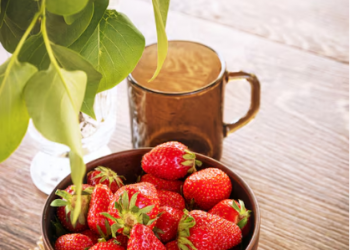 Cameron Highlands: Tea Plantations, Strawberries and Cool Air