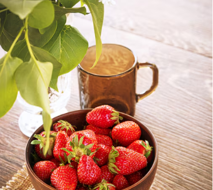Cameron Highlands: Tea Plantations, Strawberries and Cool Air