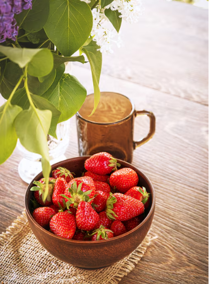 Cameron Highlands: Tea Plantations, Strawberries and Cool Air