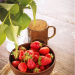 Cameron Highlands: Tea Plantations, Strawberries and Cool Air